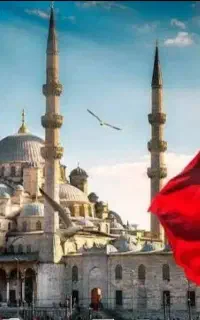 کیش مشهد کربلا