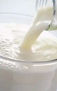 شیر گاوی