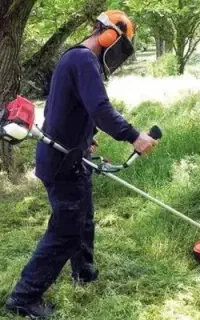 علف زنی،تیف زنی،هرس باغ،درخت بری