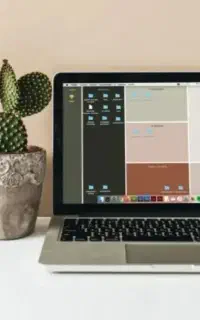 ثبت شرکت و تغییرات،کارت بازرگانی،برند،جواز کسب