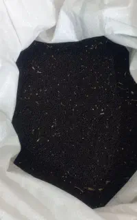 بذرکلزاتمیزپاک کرده