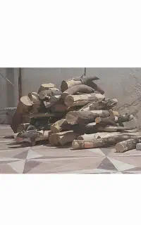 خریدار چوب