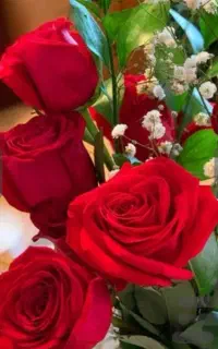 آموزش رقص بانوان