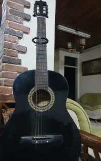 گیتار پرنسس