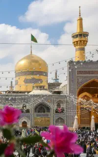 سرکتاب رایگان