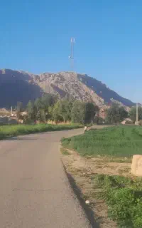 شرکت ارسال بار به سراسر کشور ها