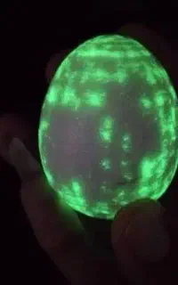 کارشناسی و معامله(سنگ روحانی/کار زیر/گوهرشب چراغ)