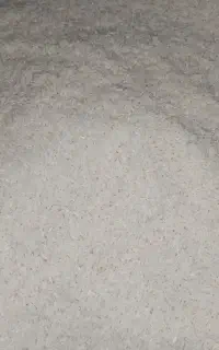 برنج نوک سیاه پرمحصول ‌