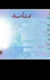 مدارک شناسایی مجتبی پیری گم شده