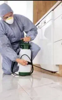 سم پاشی خانه، و باغات