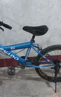 دوچرخه ۲۰