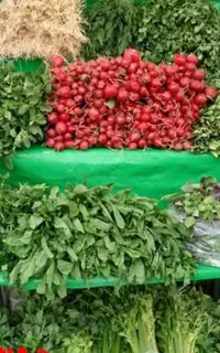 سبزی خوردن سبزی قرمه سبزی