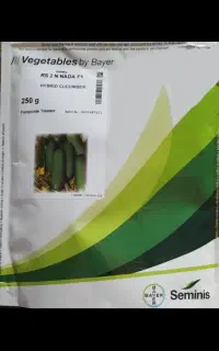 بذرخیارخیارشوری
