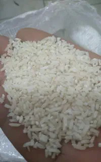 برنج سرلاشه طارم هاشمی شمالی به شرط پخت