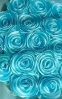 گل ربانی