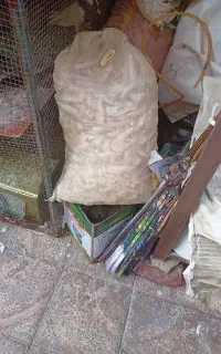 نون خشک