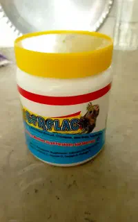 سرلاک طوطی سانان