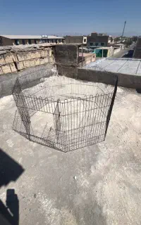 پارک و قفس سگ ۸ ضلعی