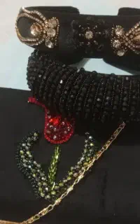 کیف مجلسی