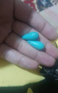 فیروزه نیشابوری(نر و ماده)