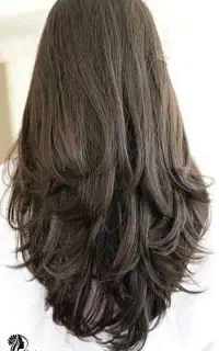 مدل برای کوتاهی مو