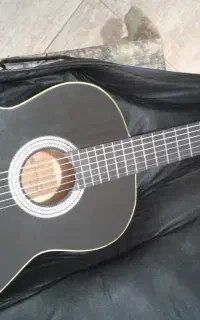 گیتار دیاموند نو