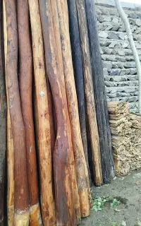 فروش چوب خشک