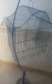 قفس پرنده