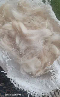 پشم پاییزه. تازه