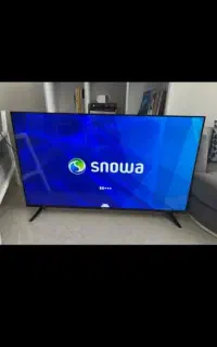 ال ای دی ۵۵اسنوا