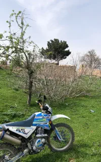 تریل نامی ۲۵۰