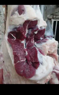 سلاخی سیار