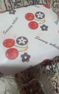 ،هود نو مارک جنرال