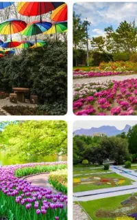 نیاز به طبیعت گردی