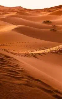 تور کویر تاریخ 1405/07/16