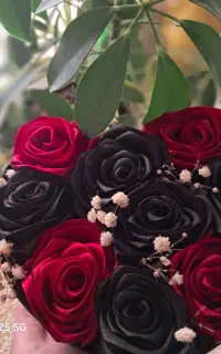 گل رز ربانی