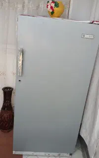 یخچال ایران پویا