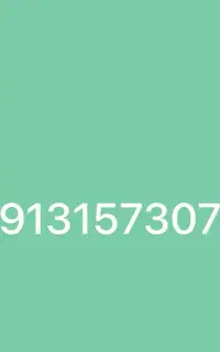 09131573078