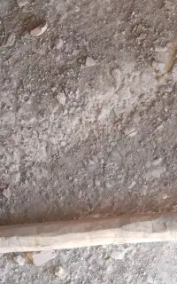 تبر گالشی