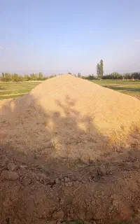 فروش خوراک دام