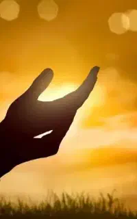 کتب،سرکتاب،علوم غریبه