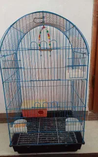 قفس پرنده سالم بزرگ
