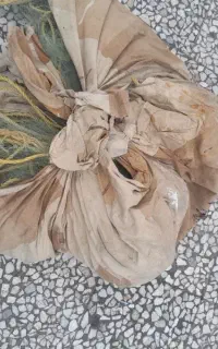 تور ماهیگیری ماهی سفید