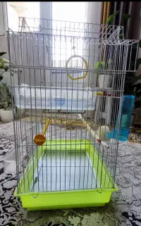 قفس پرنده