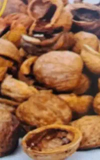 پوست گردو