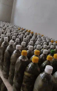 خیارشور سراب