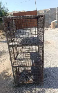 جفتگاه کبوتر گنجه