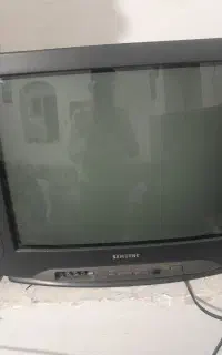 تلویزیون