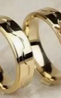 ضامن میشم