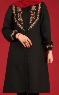 مانتو مهمانی